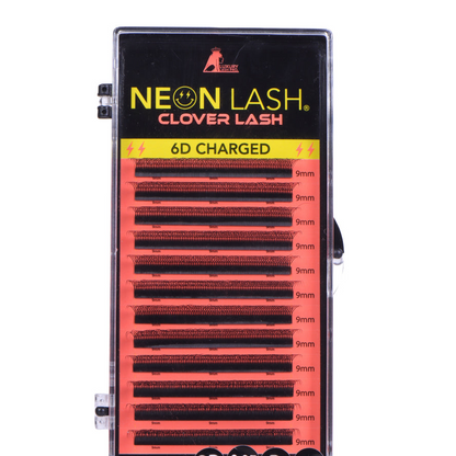 NEON LASH CLOVER LASH TRAY 0.07 D Curl